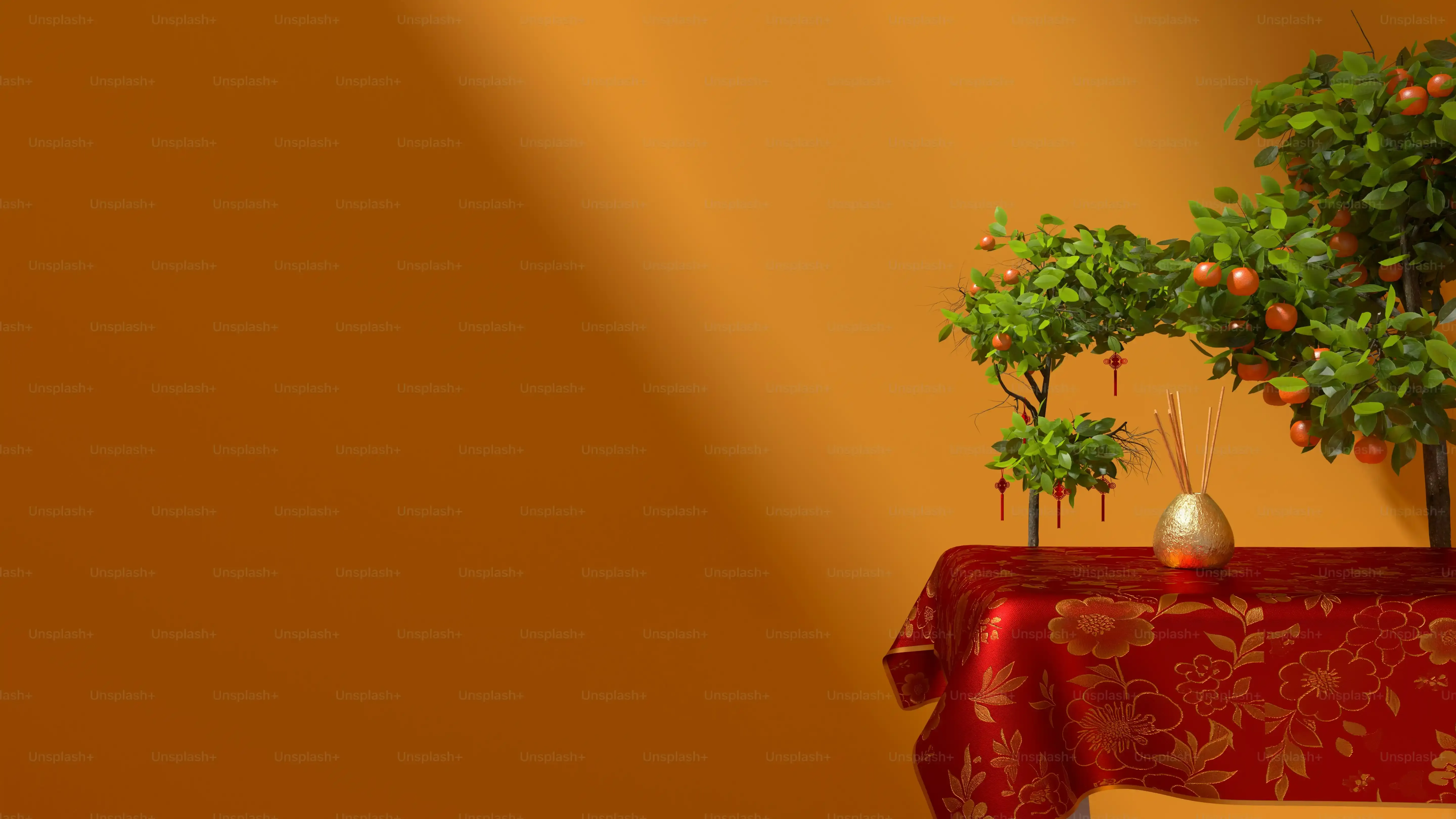イベントで素敵な多肉植物を見つけるコツ