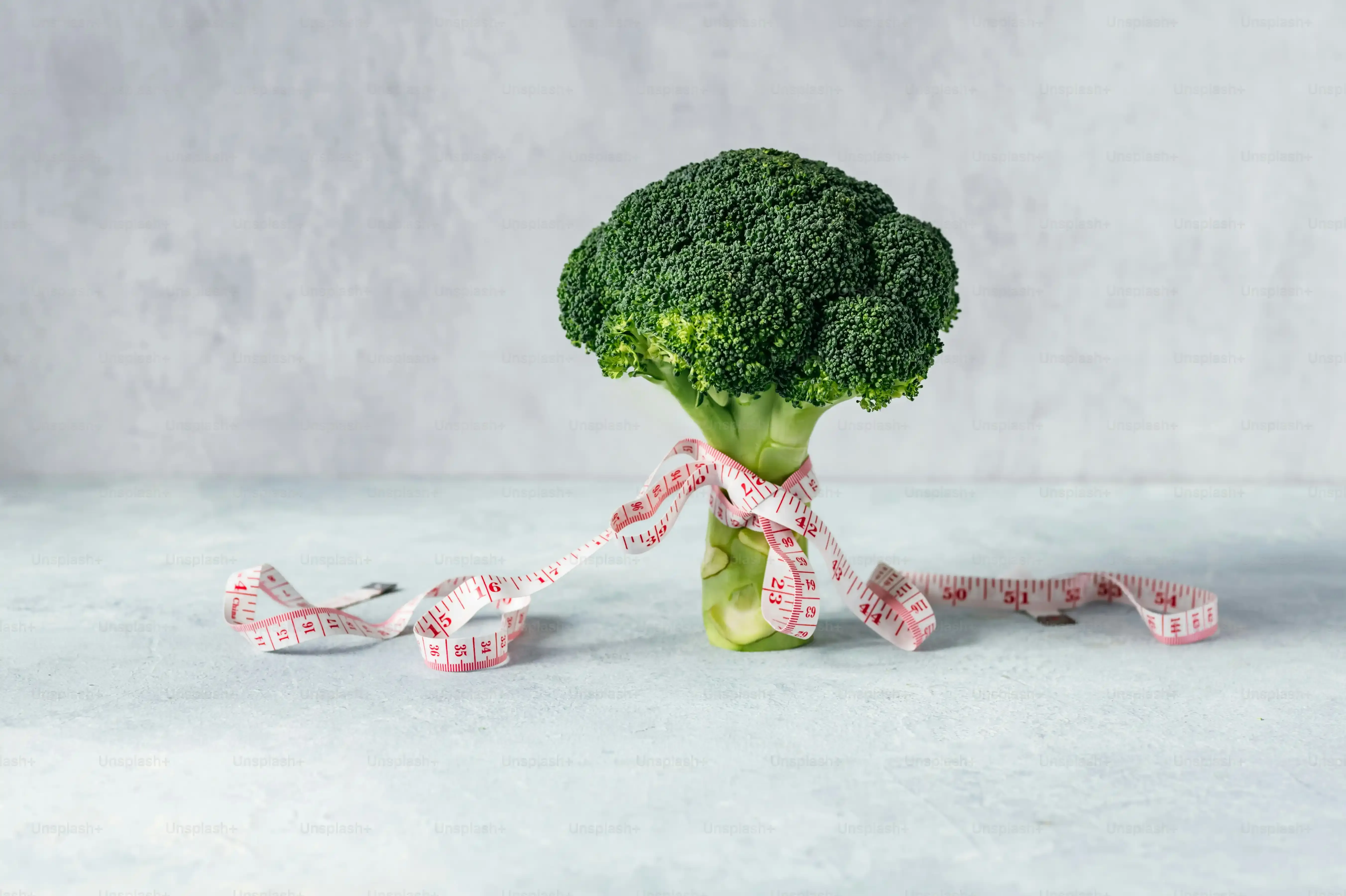 多肉植物 なぜ人気？長く愛されるために知っておきたいこと