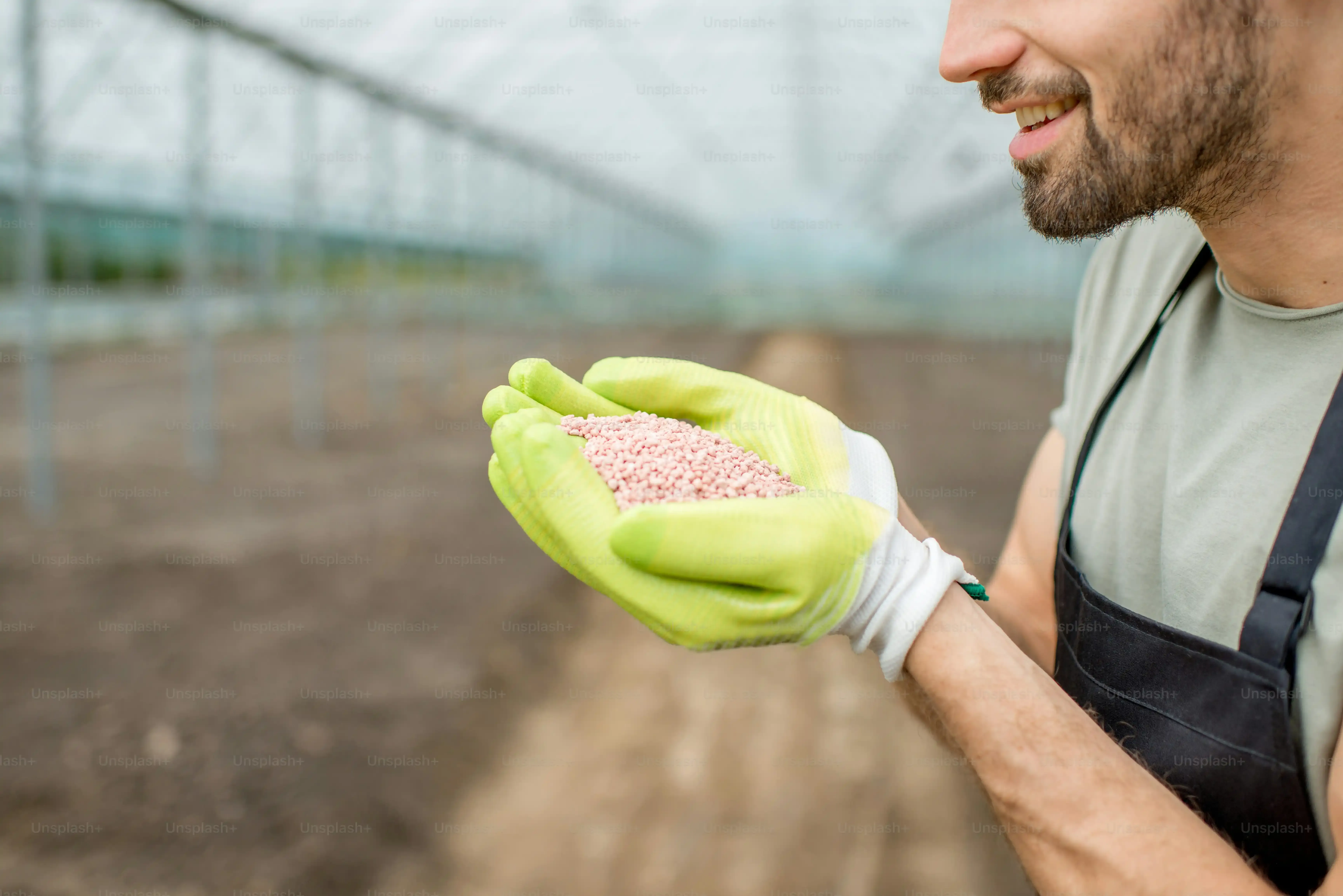 多肉植物 カット苗を植え付ける前の準備