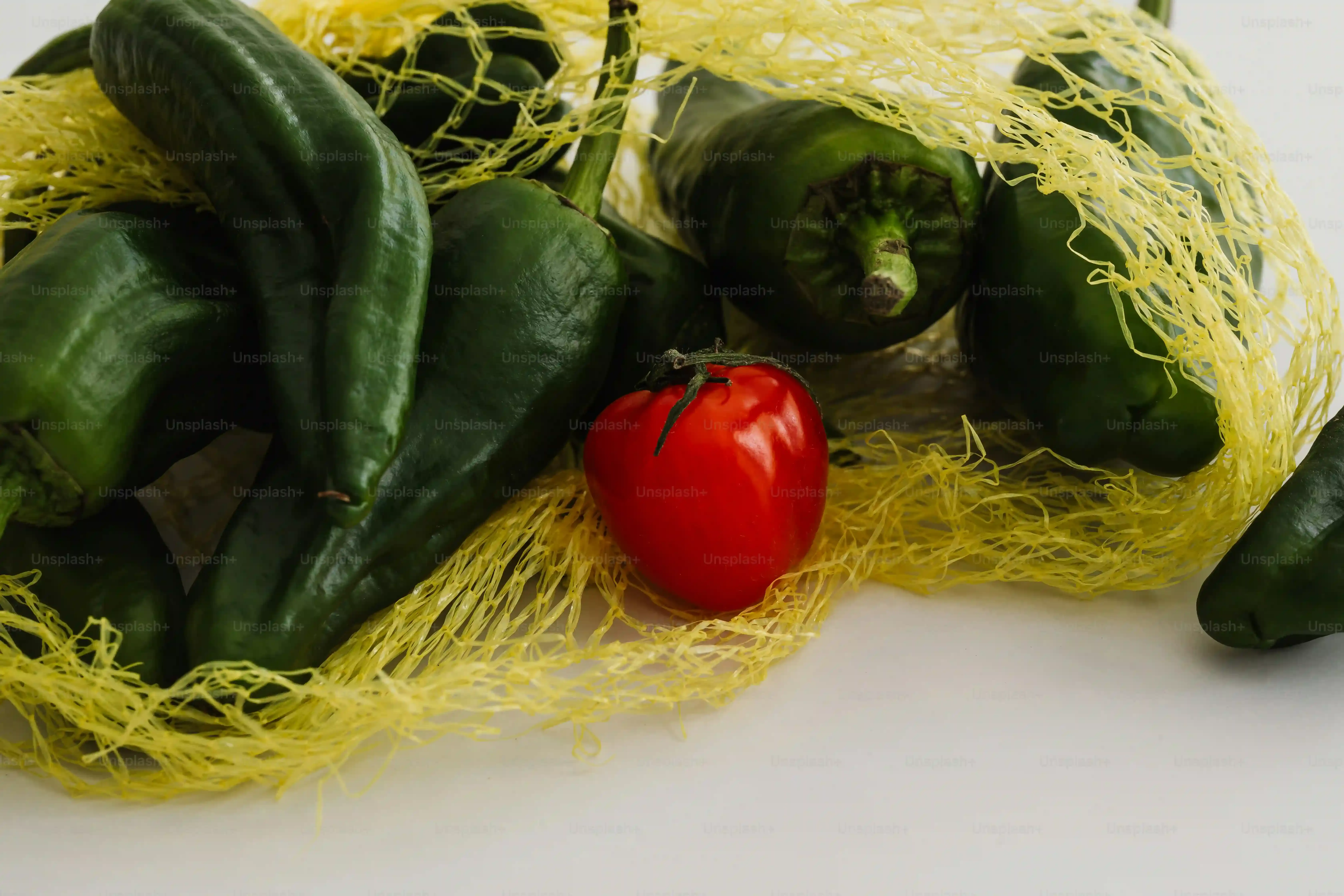 多肉植物 ハロウィンを元気に育てるには？季節ごとの管理