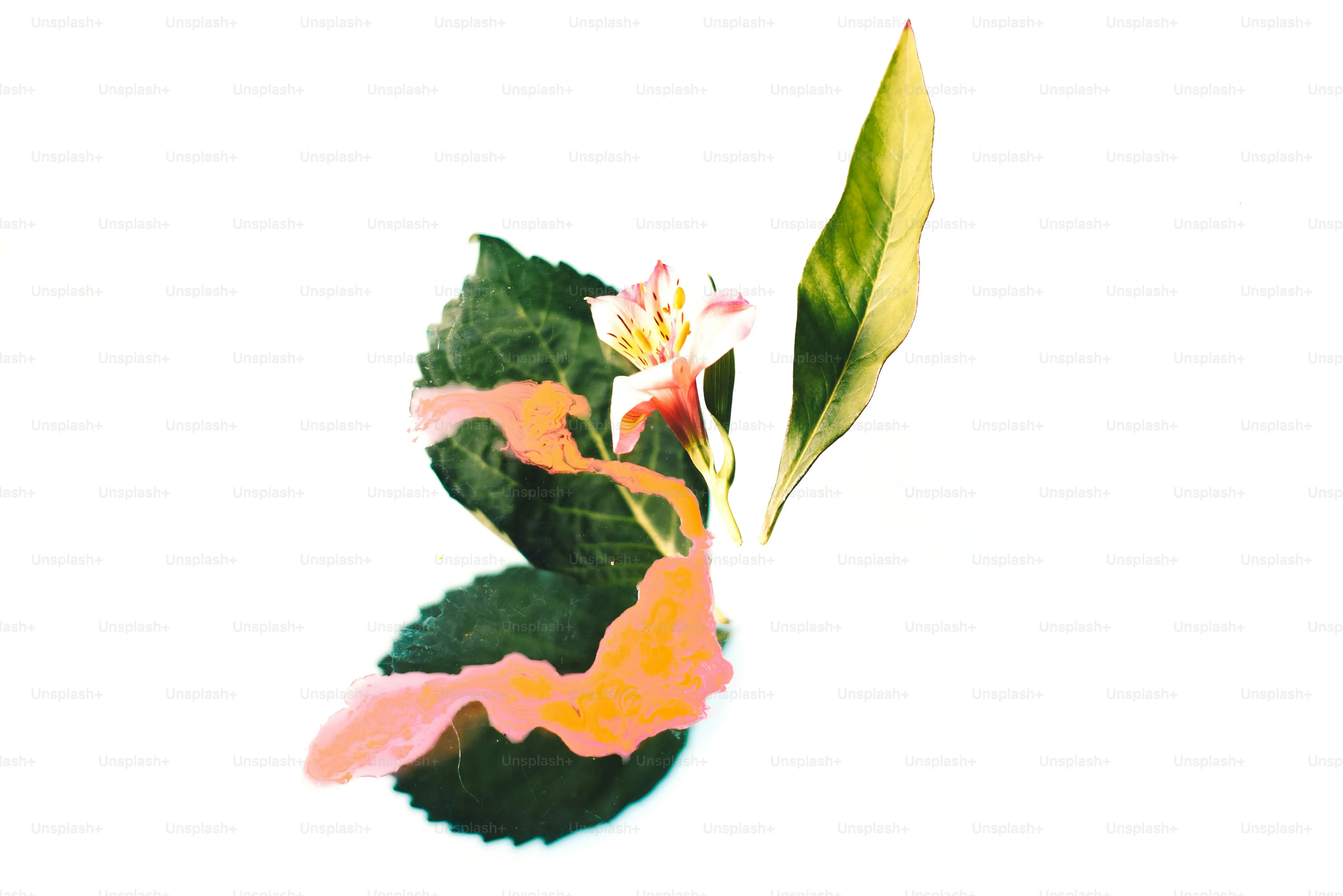 多肉植物 ロゴの活用シーンと事例