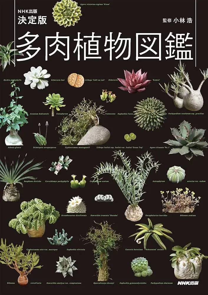 多肉植物 図鑑で解決！育て方・管理の疑問