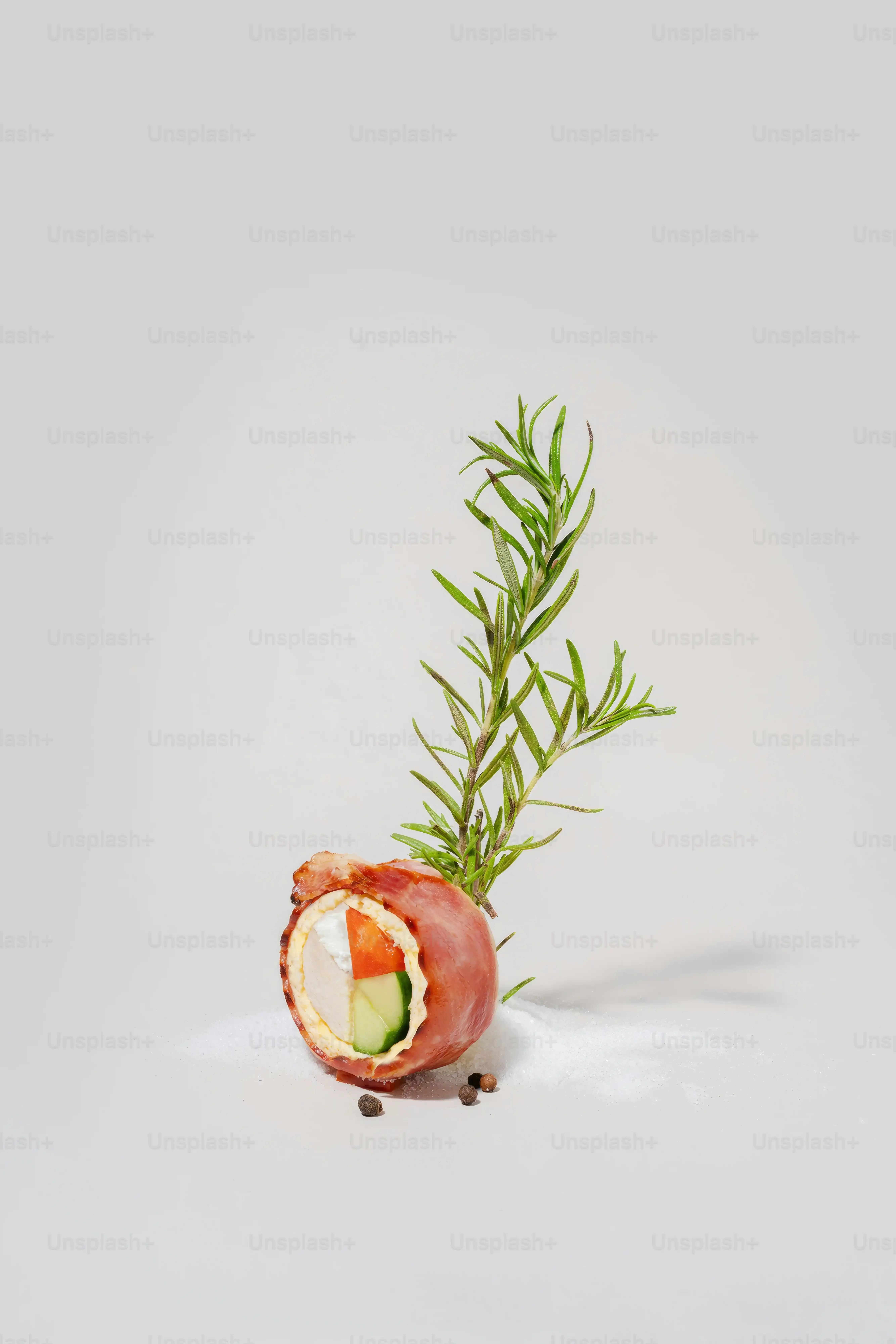 多肉植物 高価なものを賢く楽しむためのヒント
