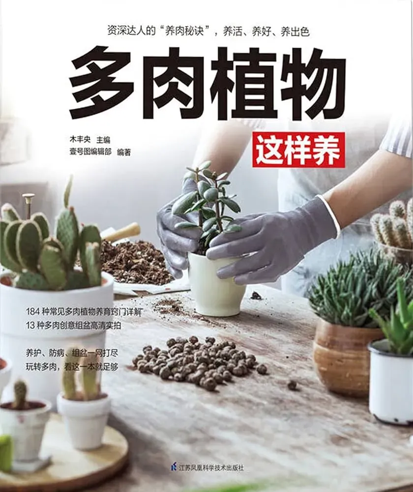 多肉植物、英語でなんて言うの？基本を押さえよう