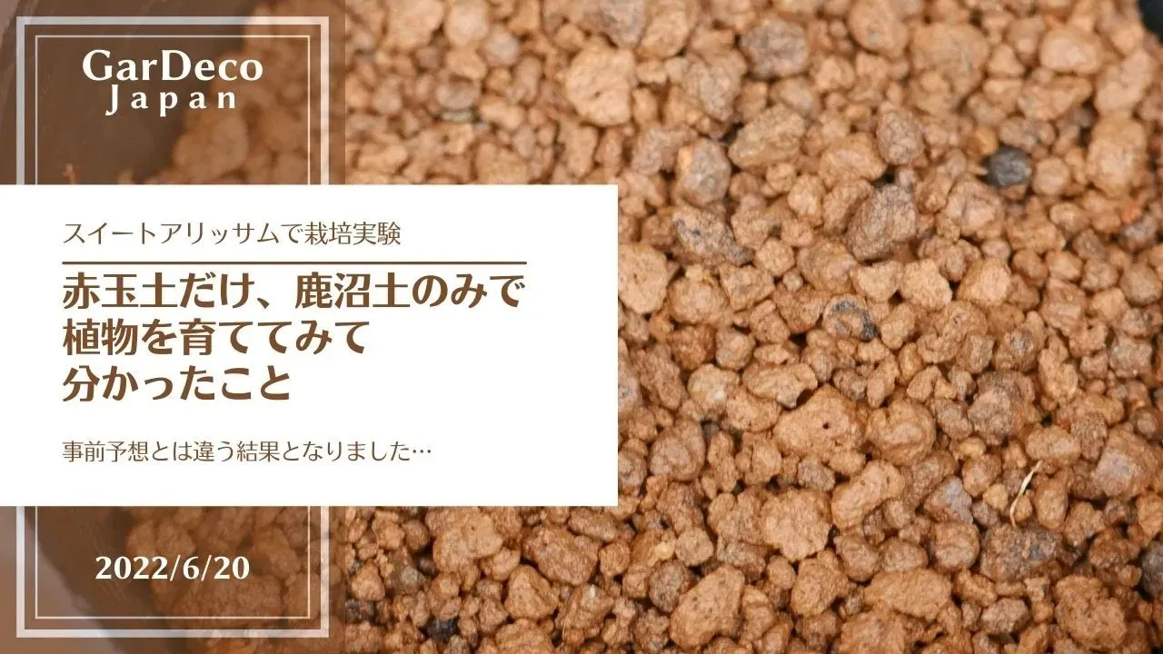 多肉植物に赤玉土だけを使うのは実際どうなの？