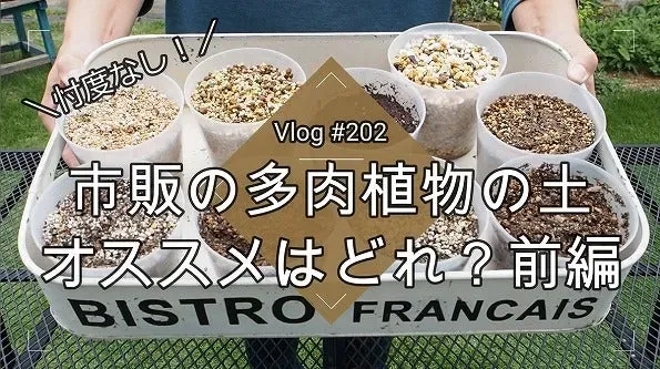 多肉植物の土 おすすめ 市販品を選ぶ前に知っておきたい基本