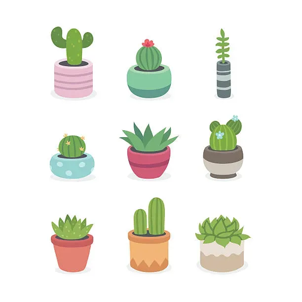 多肉植物イラストの多様なスタイルと表現