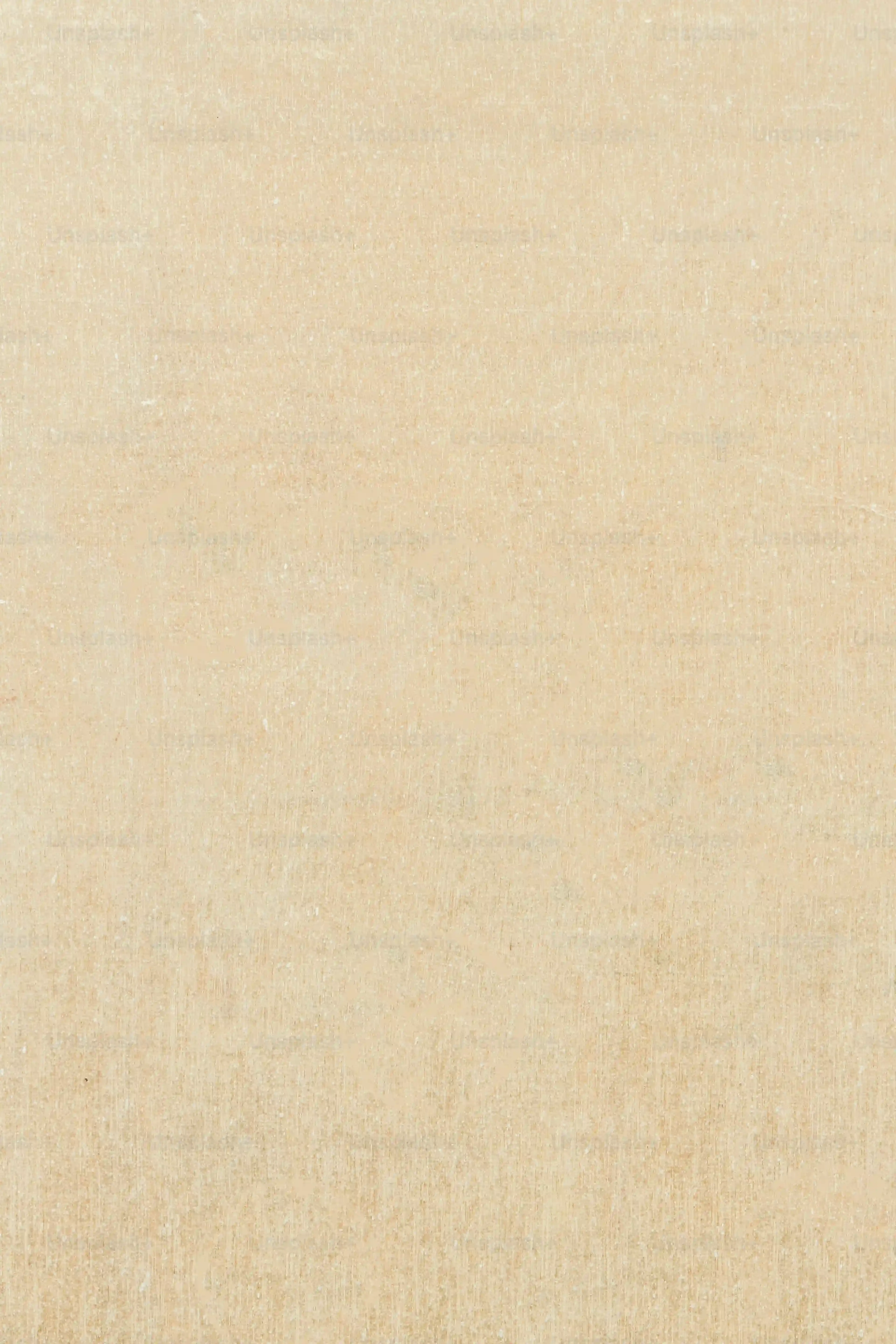 季節ごとのハオルチア管理と育て方のコツ