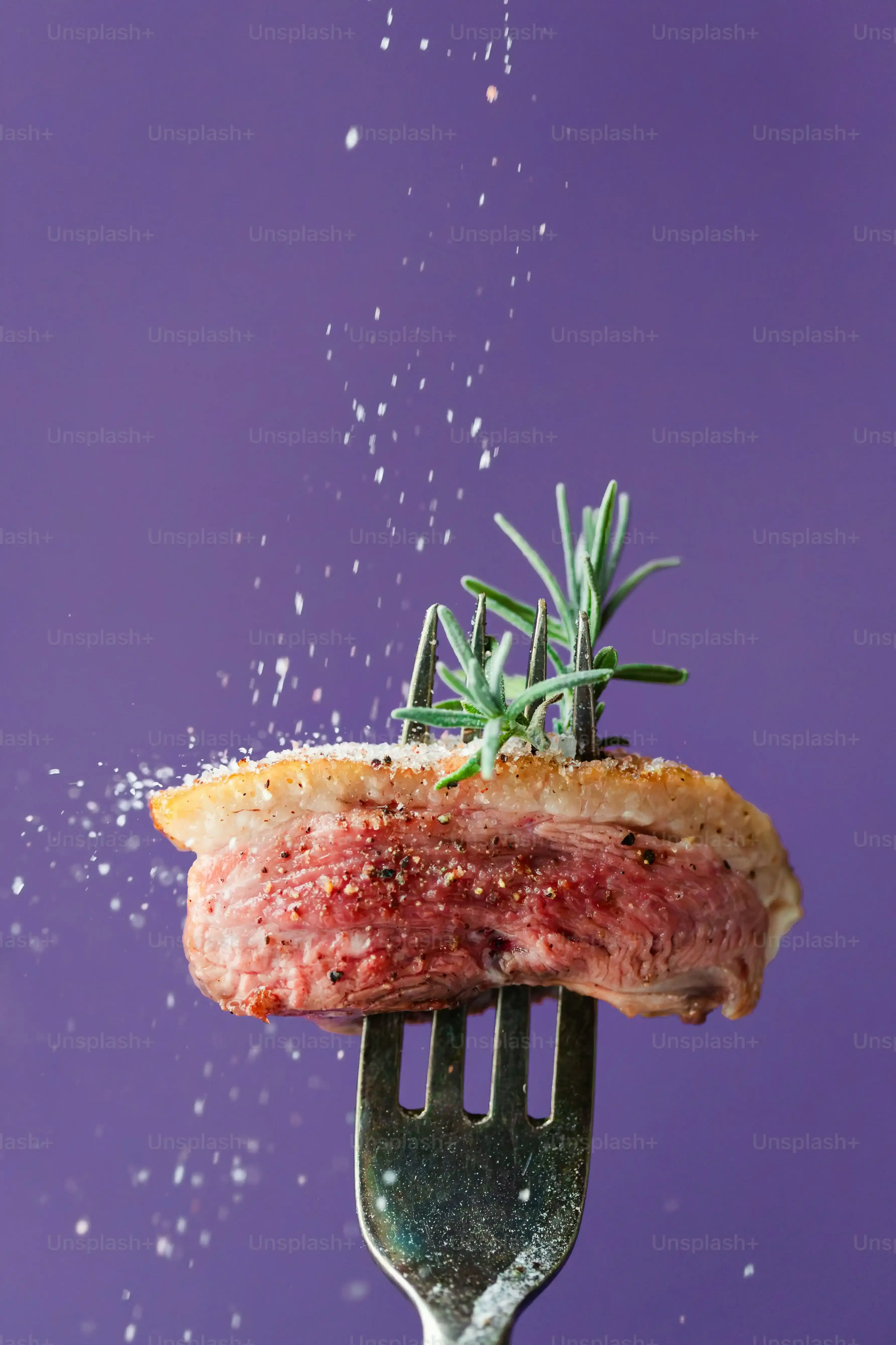 環境を整えて多肉植物を肉厚に！置き場所と季節ごとの注意点