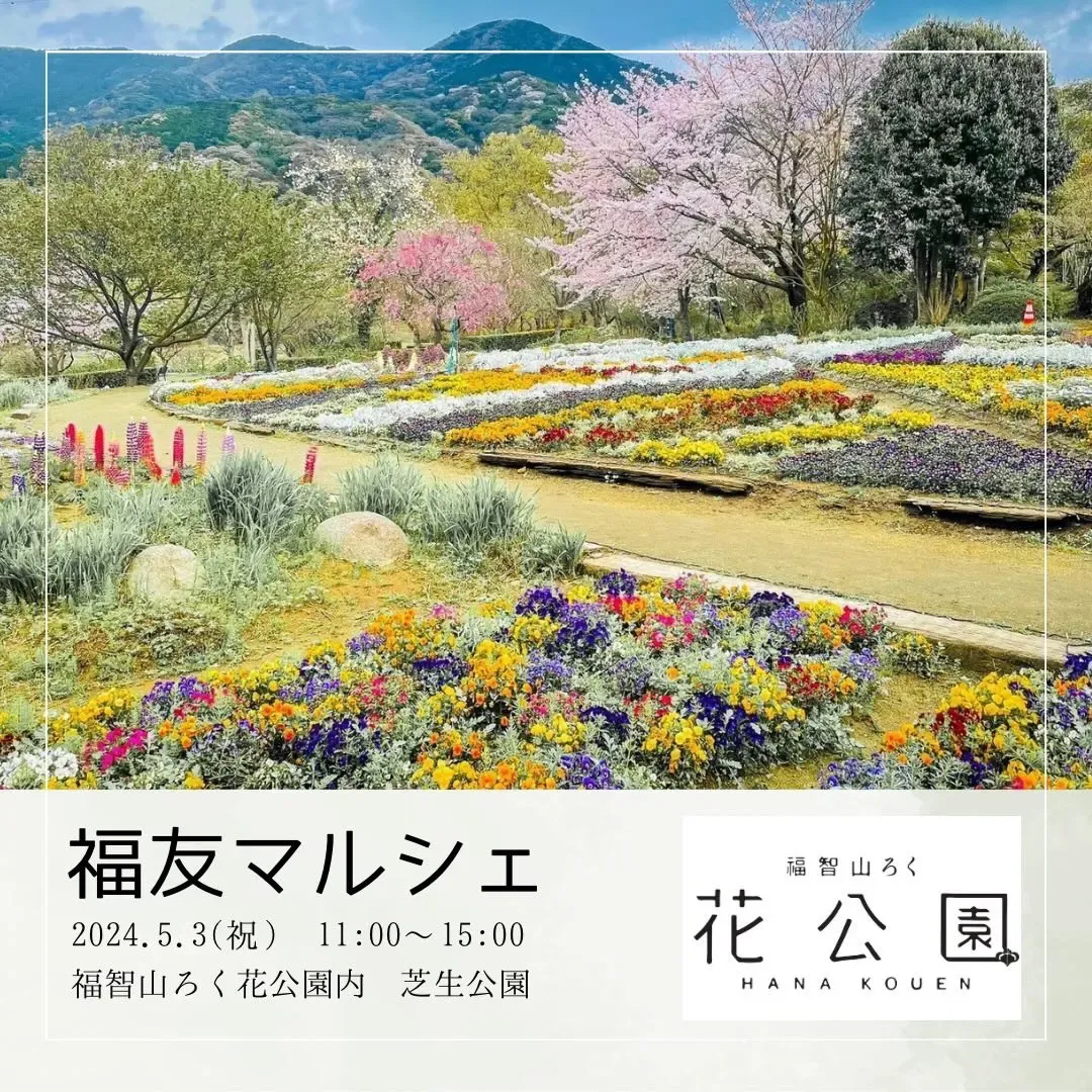 2024年5月の多肉植物イベント、振り返り